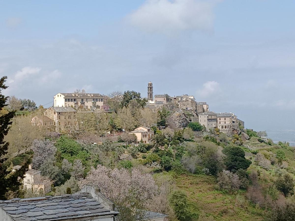 Casa Pernice Penta di Casinca エクステリア 写真