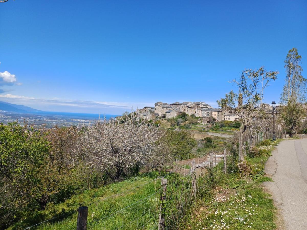 Casa Pernice Penta di Casinca エクステリア 写真